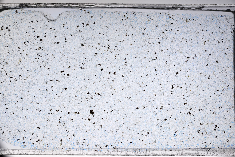 Plane Polarized, ED9875