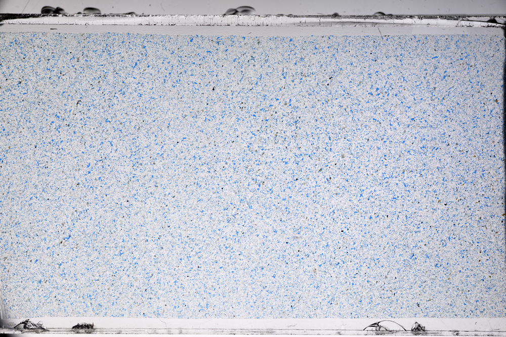 Plane Polarized, ED9871