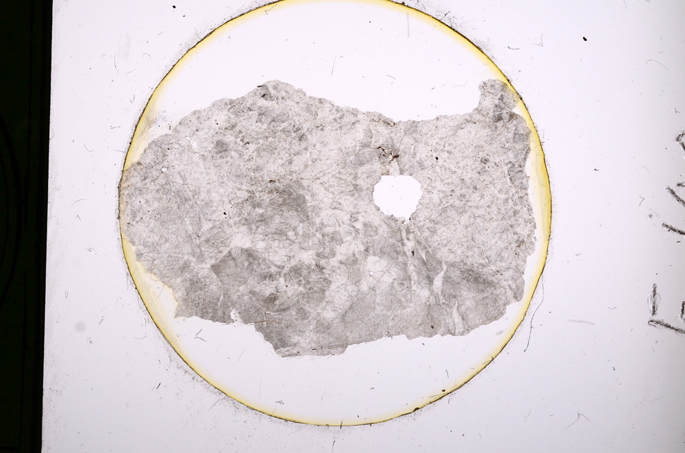 Plane Polarized, E100