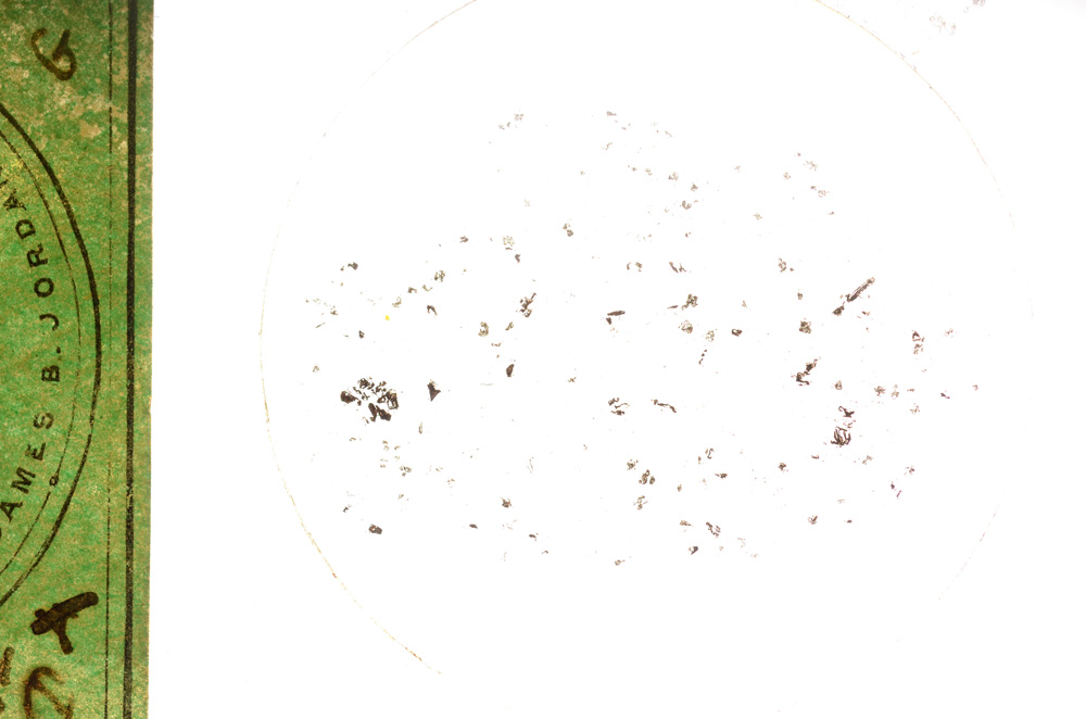 Plane Polarized, E247