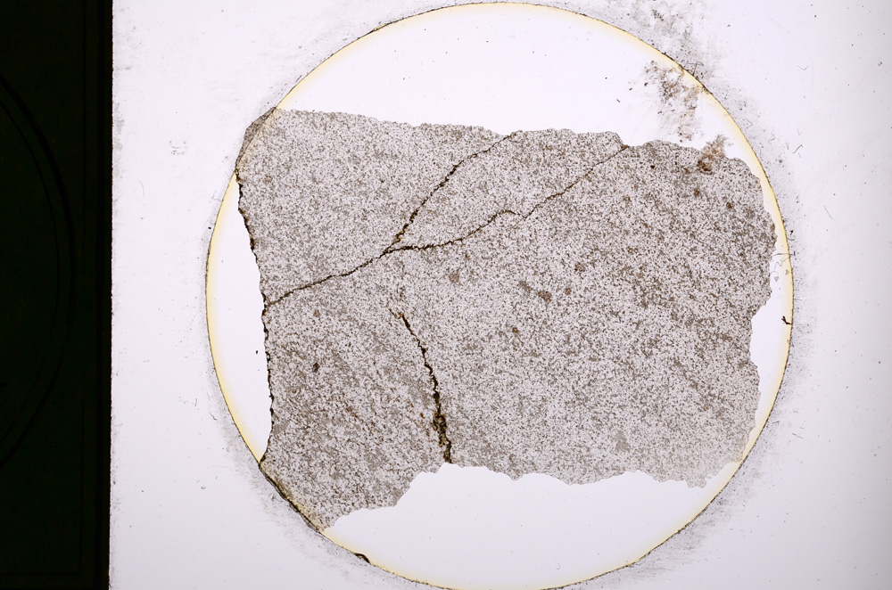 Plane Polarized, E289