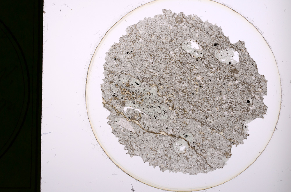 Plane Polarized, E313