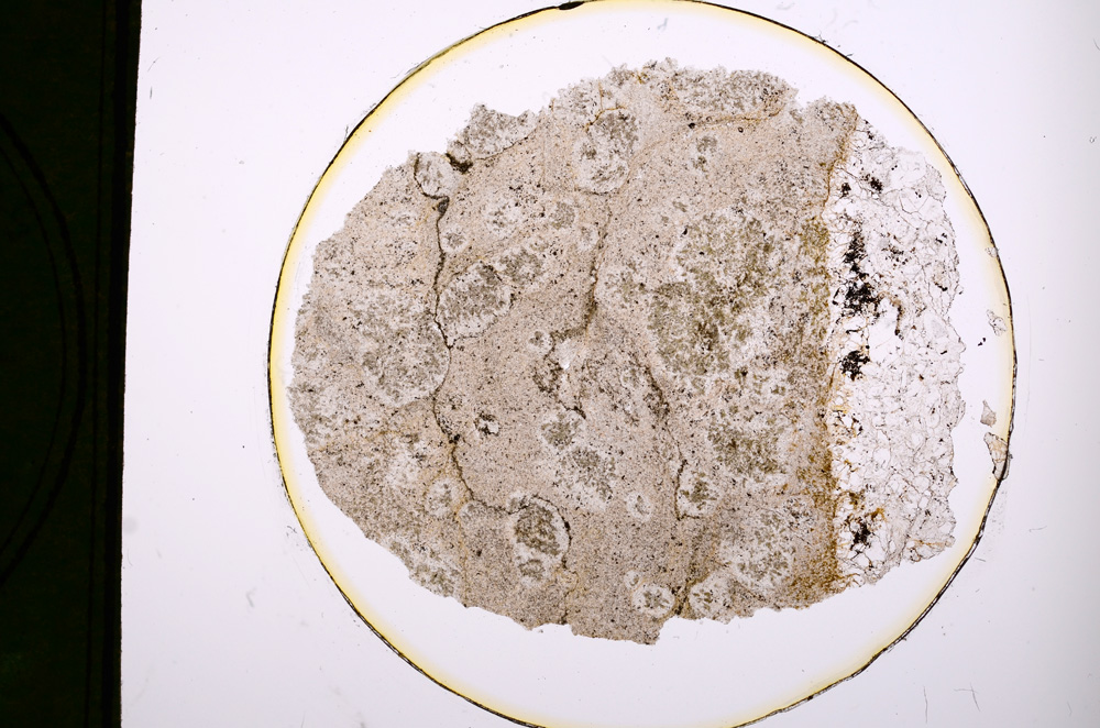 Plane Polarized, E343