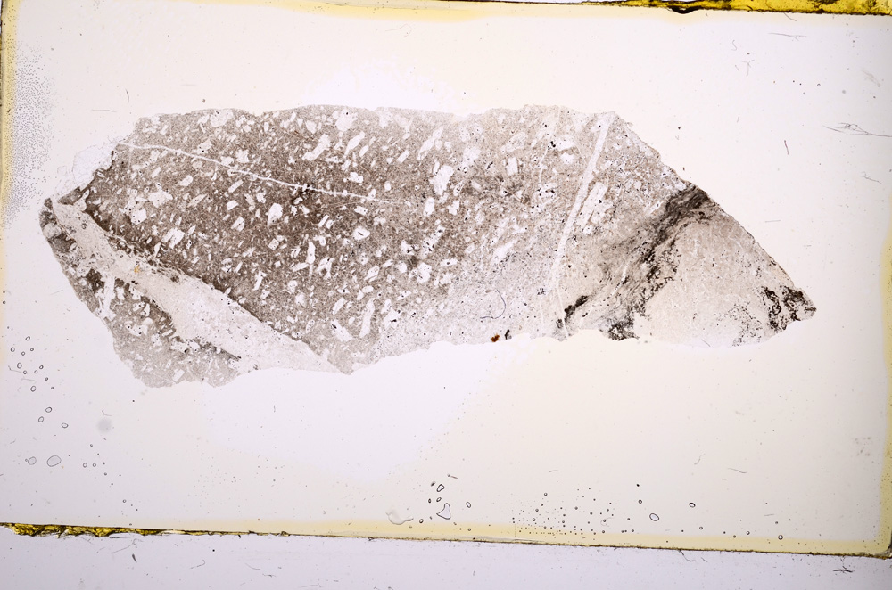 Plane Polarized, E365