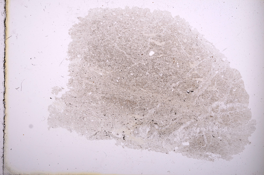 Plane Polarized, E372