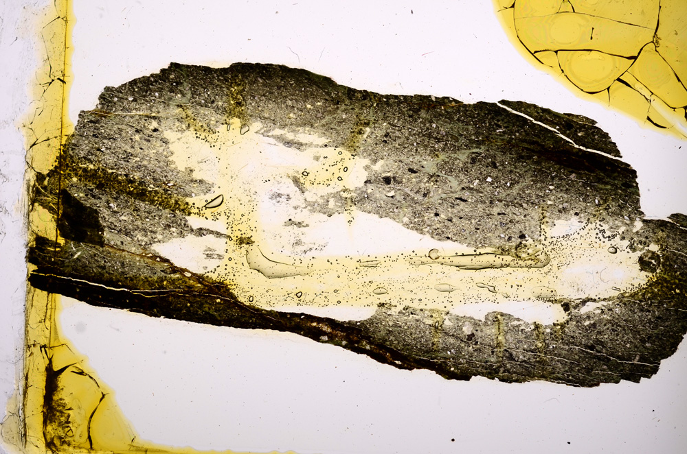 Plane Polarized, E373/B