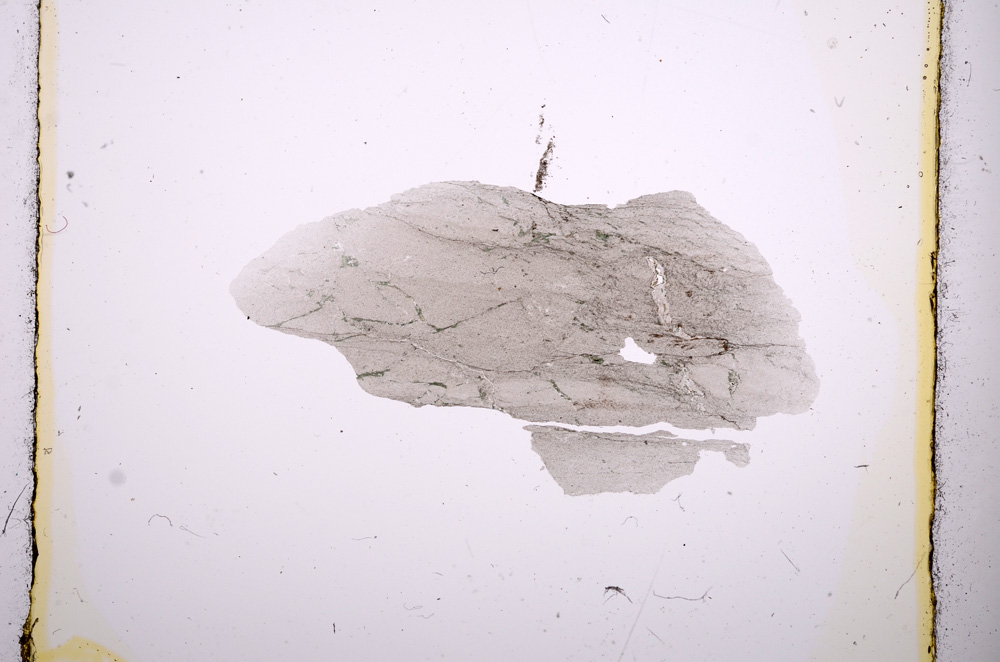 Plane Polarized, E379