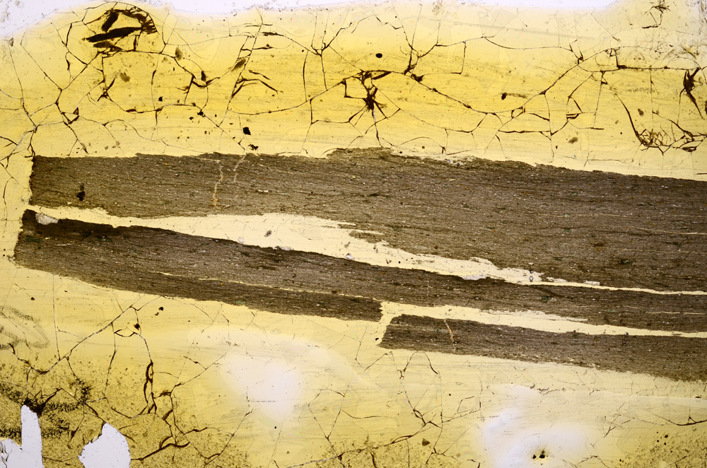 Plane Polarized, E381