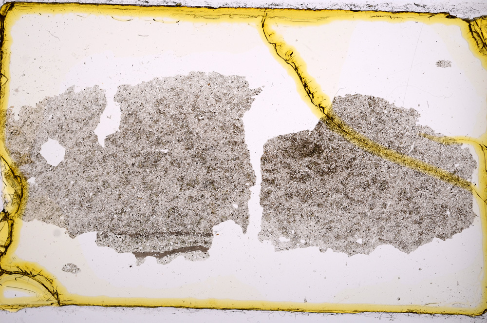 Plane Polarized, E384