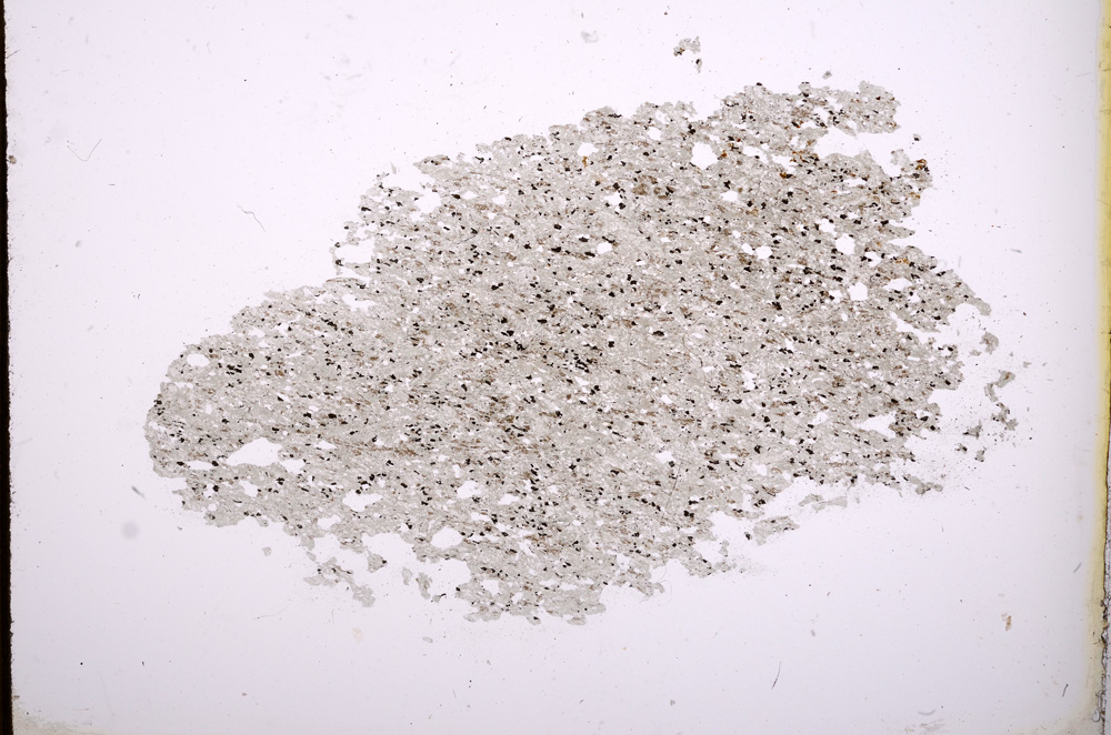 Plane Polarized, E385