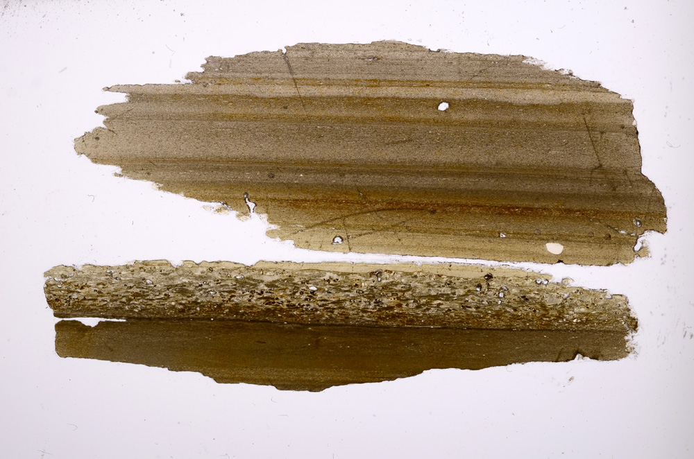 Plane Polarized, E391