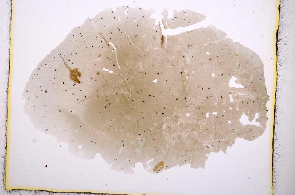 Plane Polarized, E392