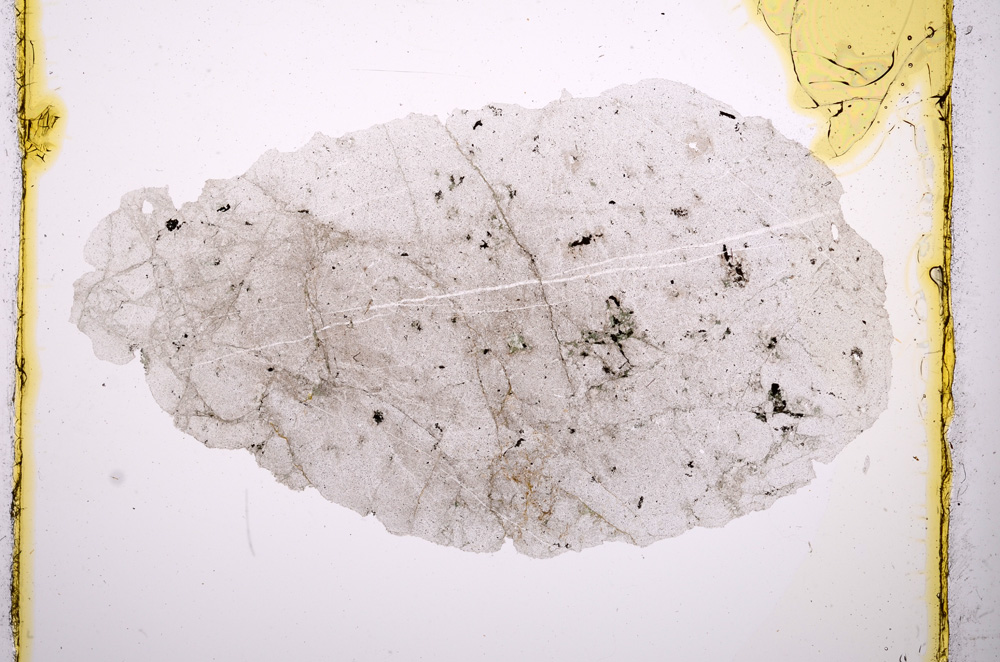 Plane Polarized, E403