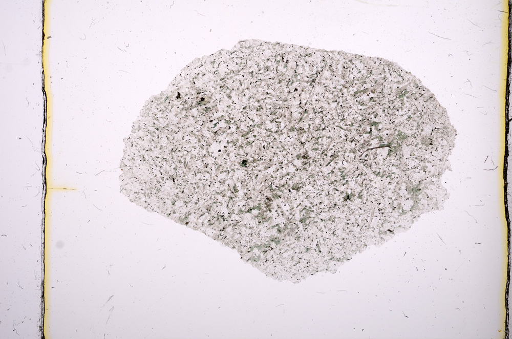 Plane Polarized, E411