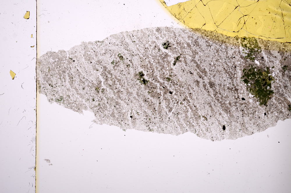 Plane Polarized, E413