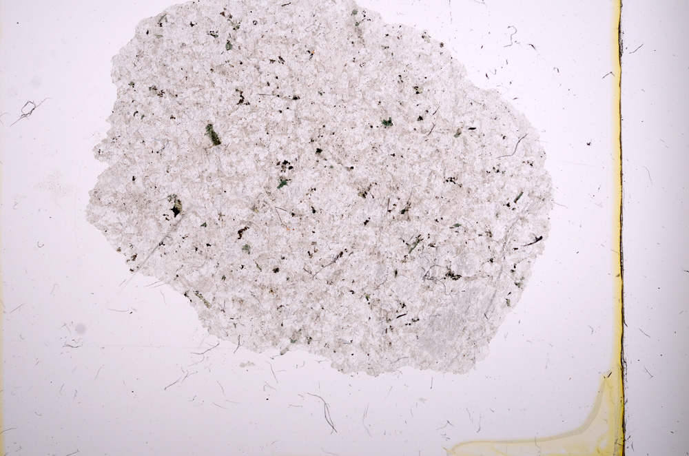 Plane Polarized, E415