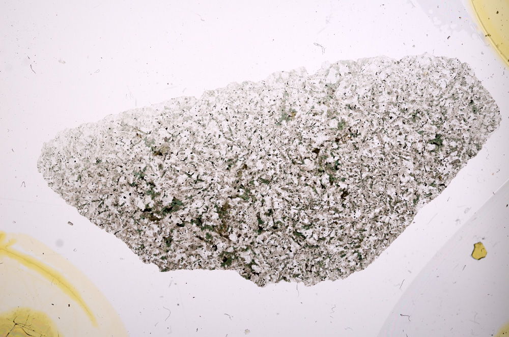 Plane Polarized, E416