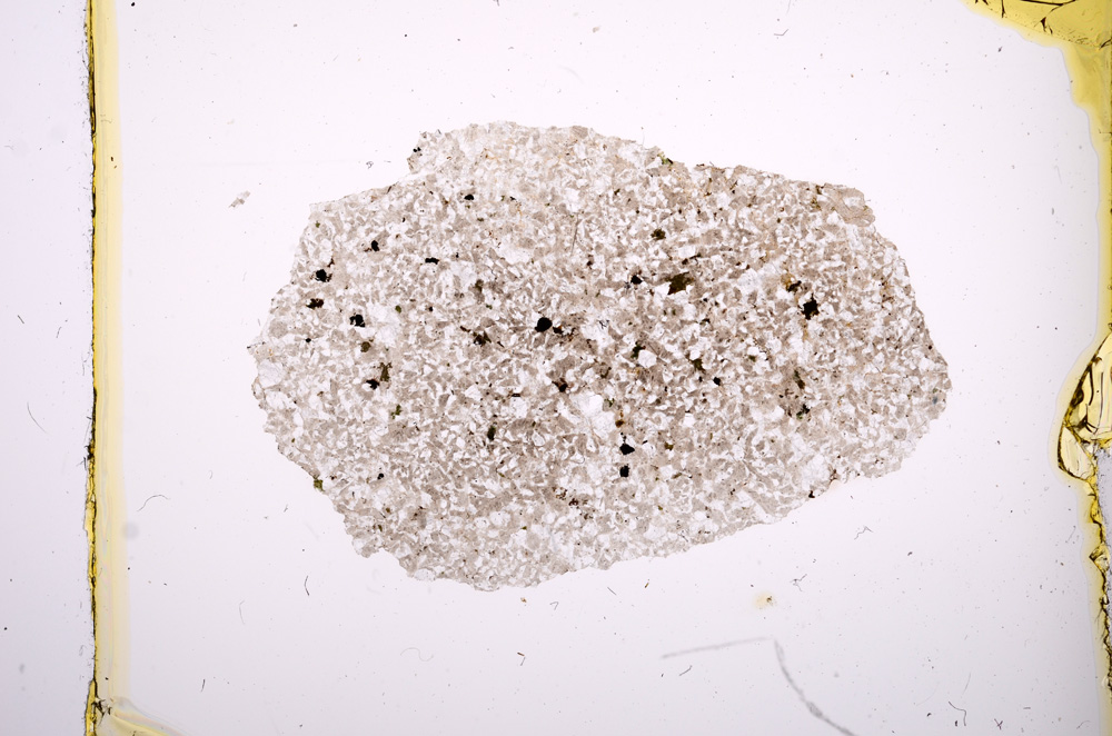 Plane Polarized, E417