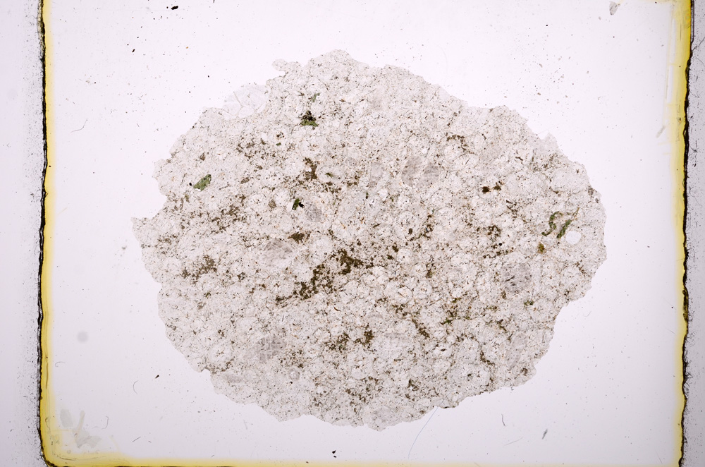 Plane Polarized, E419