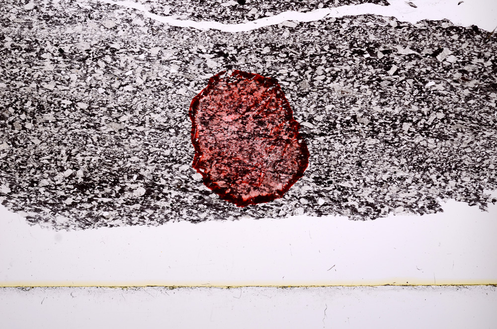 Plane Polarized, E429