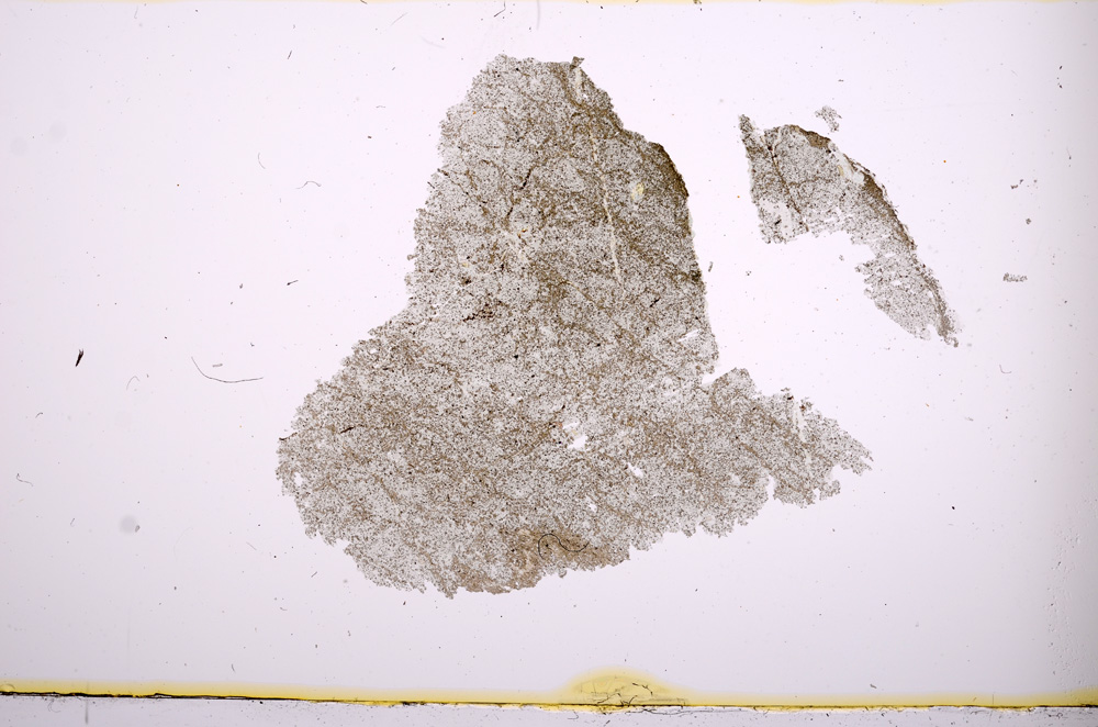Plane Polarized, E477