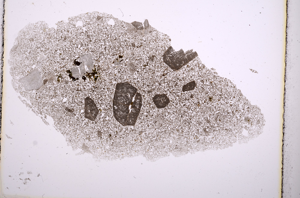 Plane Polarized, E488/A