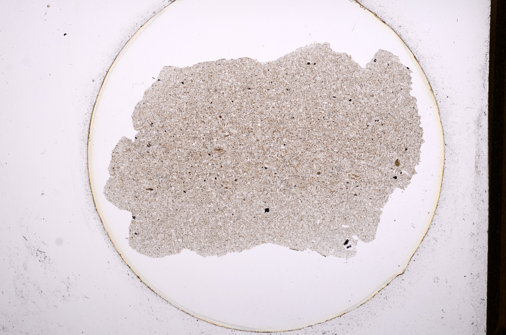 Plane Polarized, E551