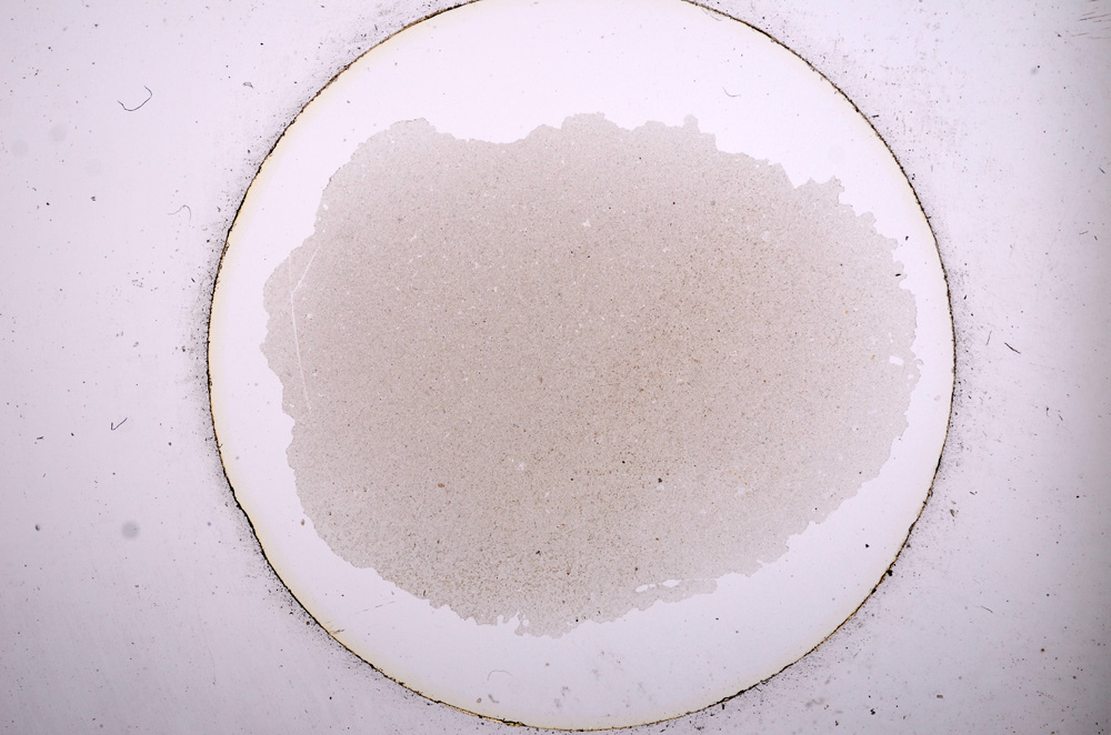 Plane Polarized, E554