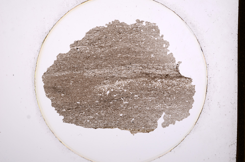 Plane Polarized, E556