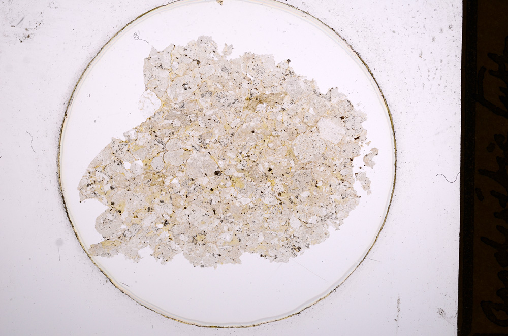 Plane Polarized, E561