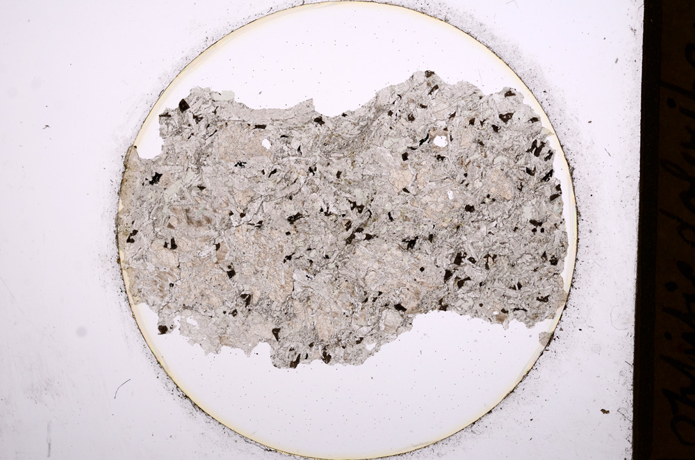 Plane Polarized, E566