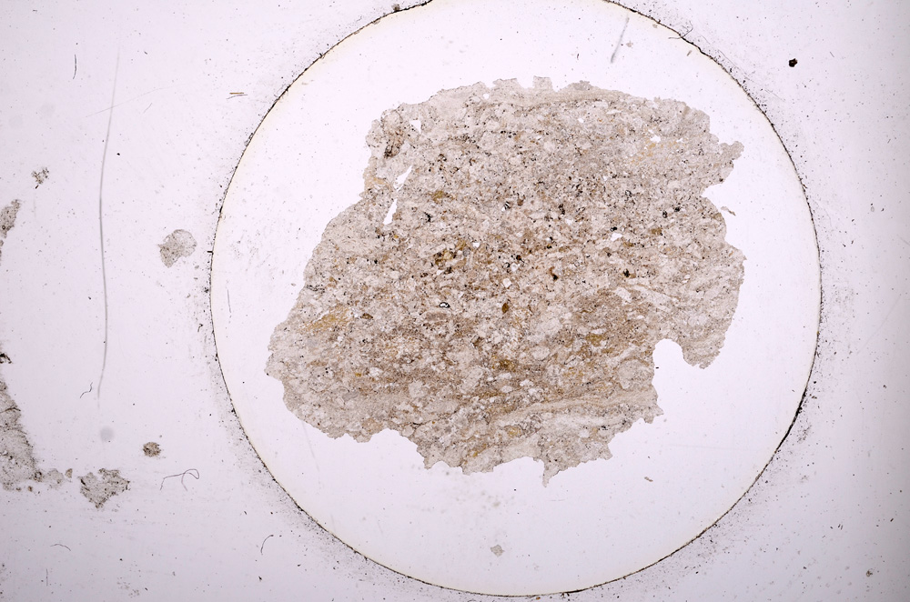 Plane Polarized, E625