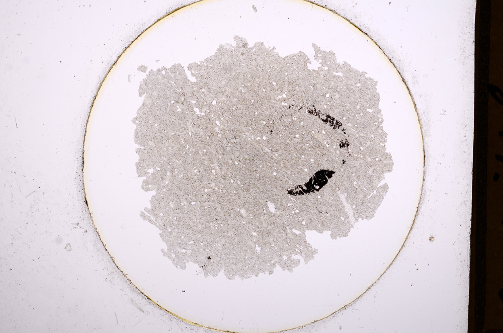 Plane Polarized, E643