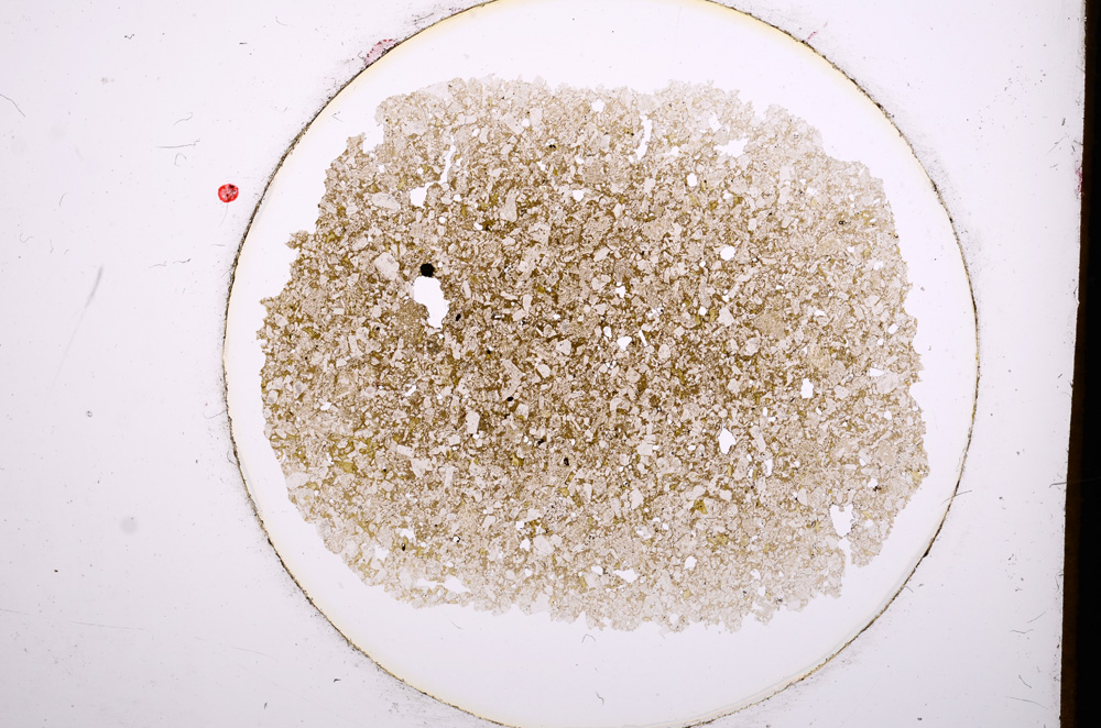 Plane Polarized, E644