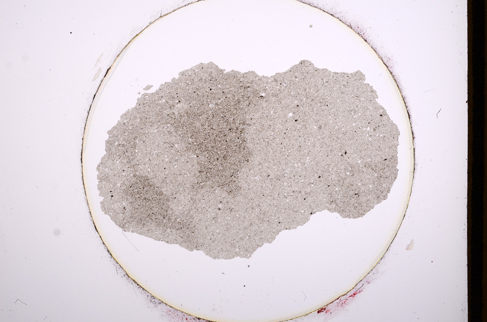 Plane Polarized, E645