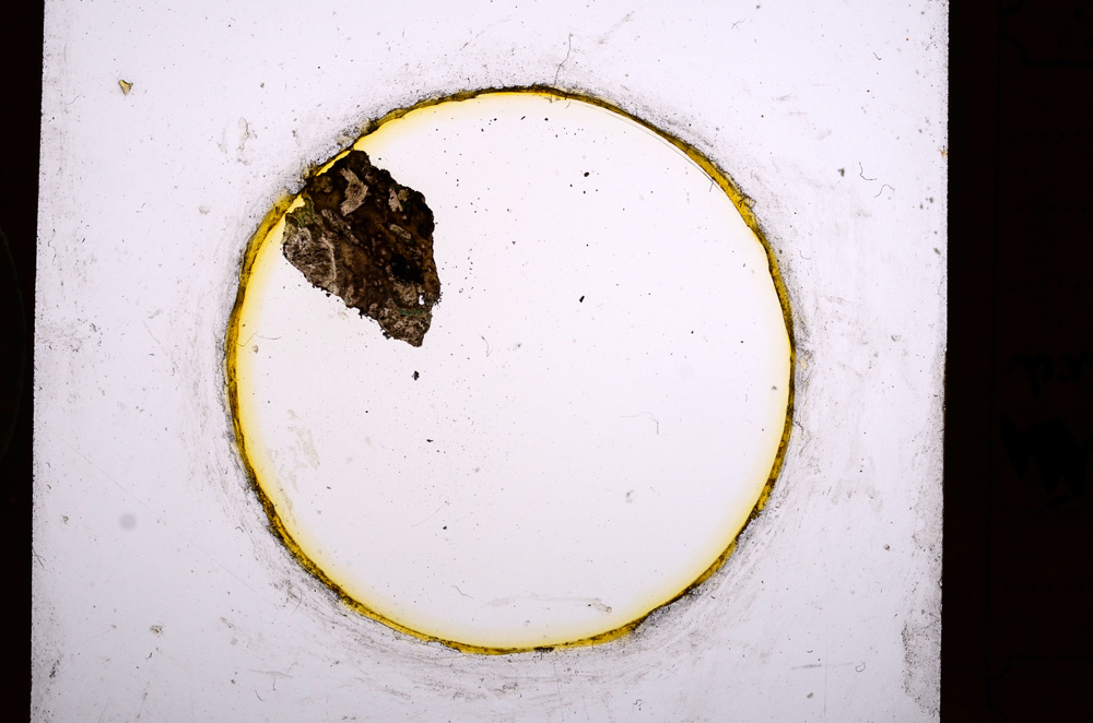 Plane Polarized, E671