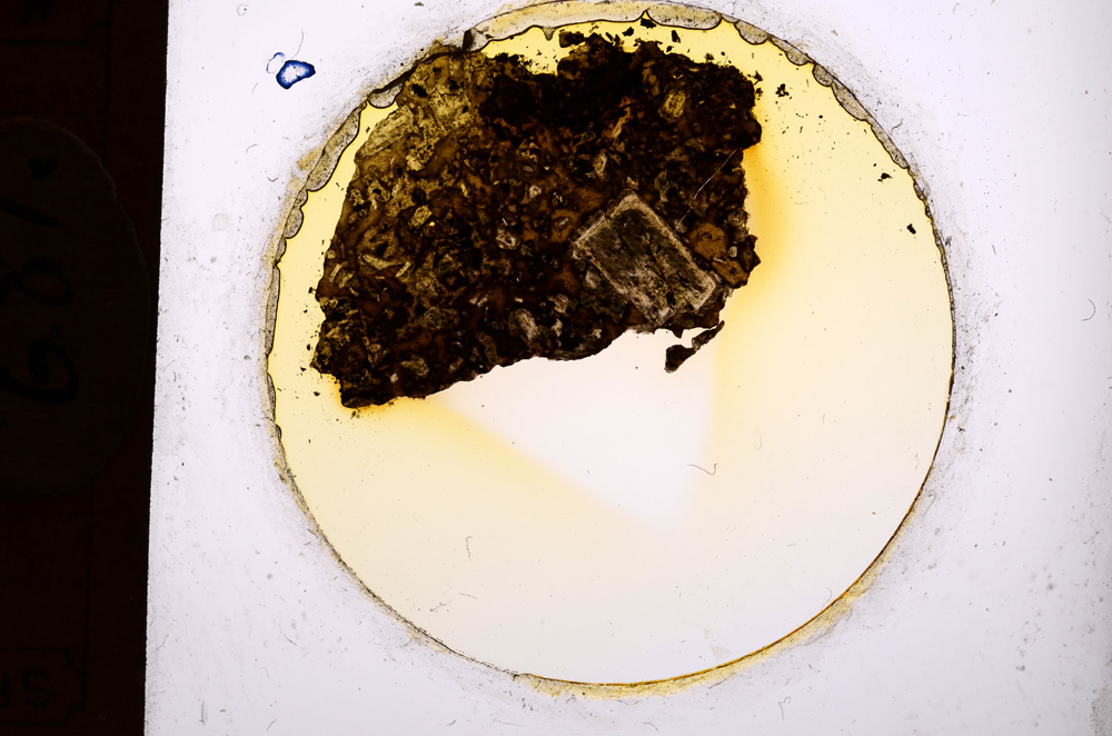 Plane Polarized, E681