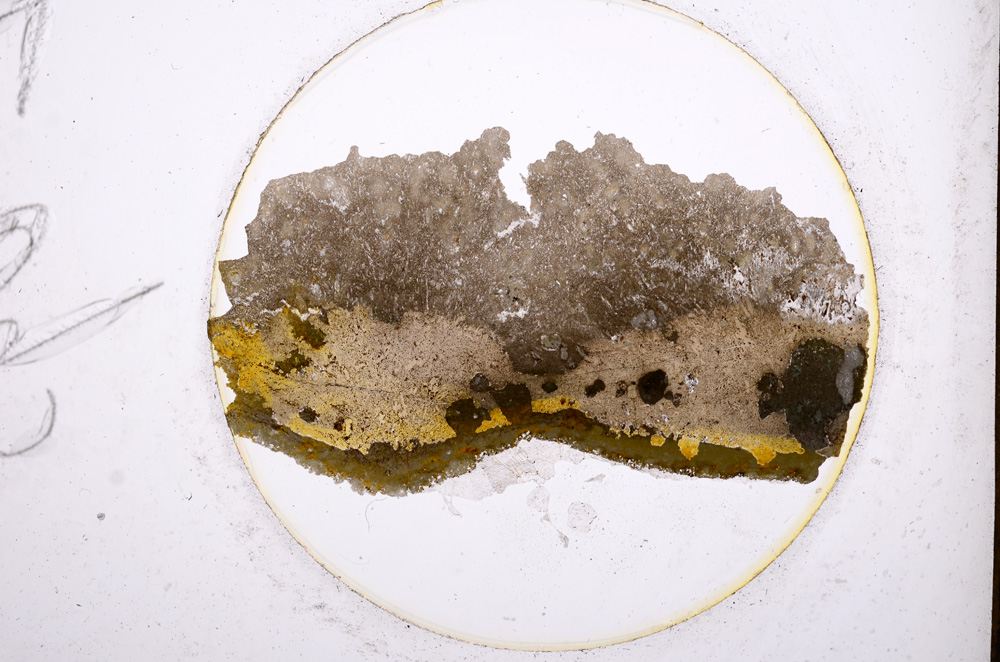 Plane Polarized, E695