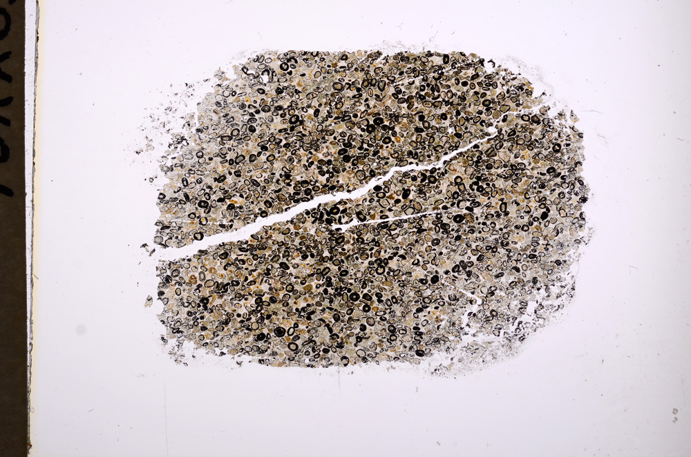 Plane Polarized, E712