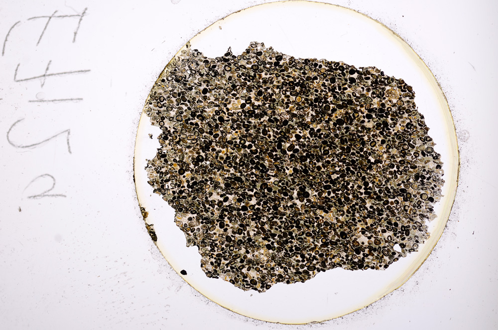 Plane Polarized, E712/A