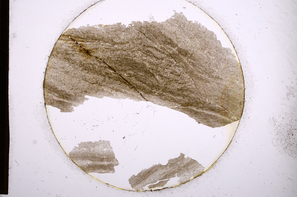 Plane Polarized, E818