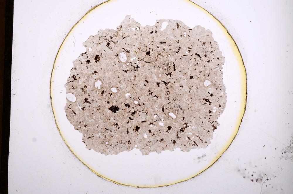 Plane Polarized, E841