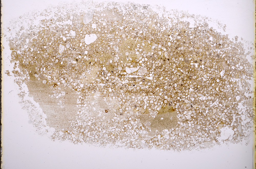 Plane Polarized, E895