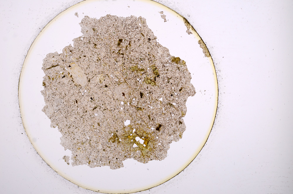 Plane Polarized, E904