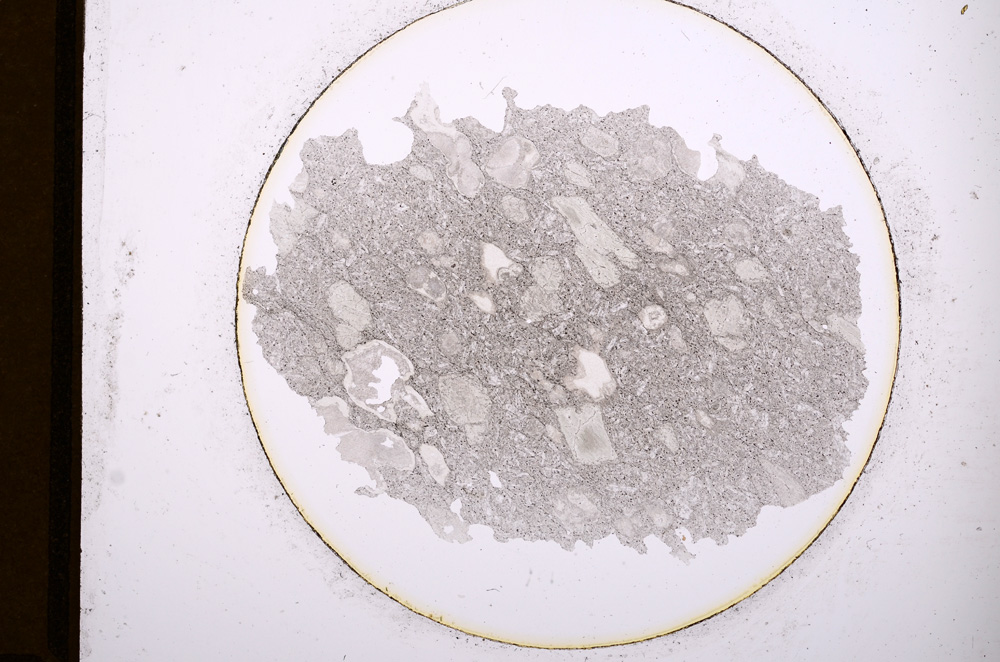 Plane Polarized, E906