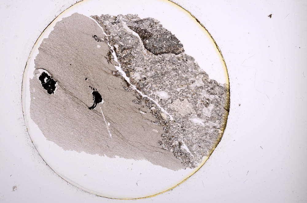 Plane Polarized, E913