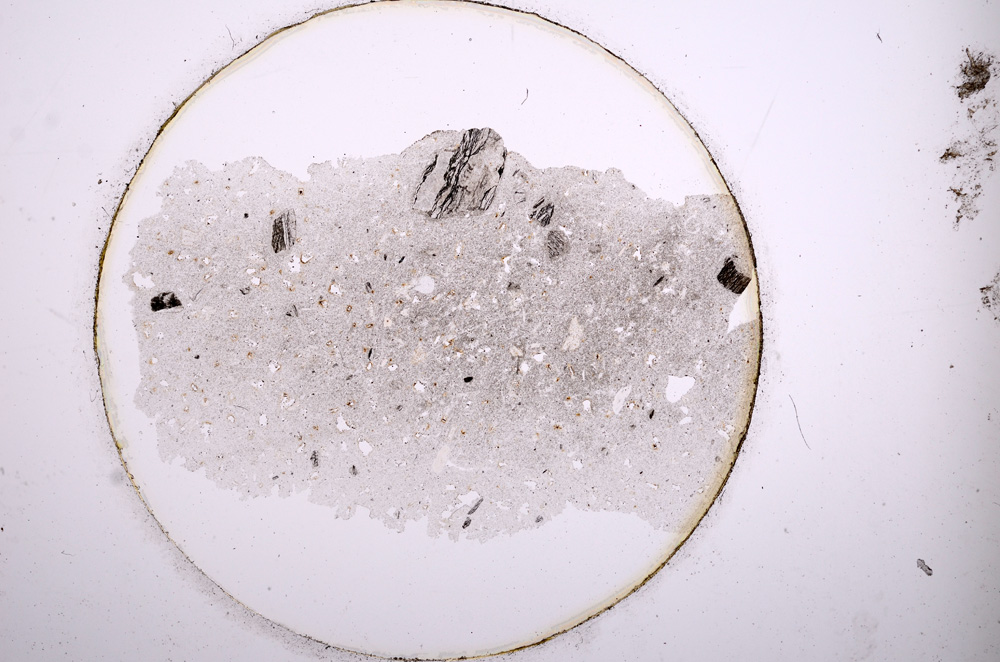 Plane Polarized, E915