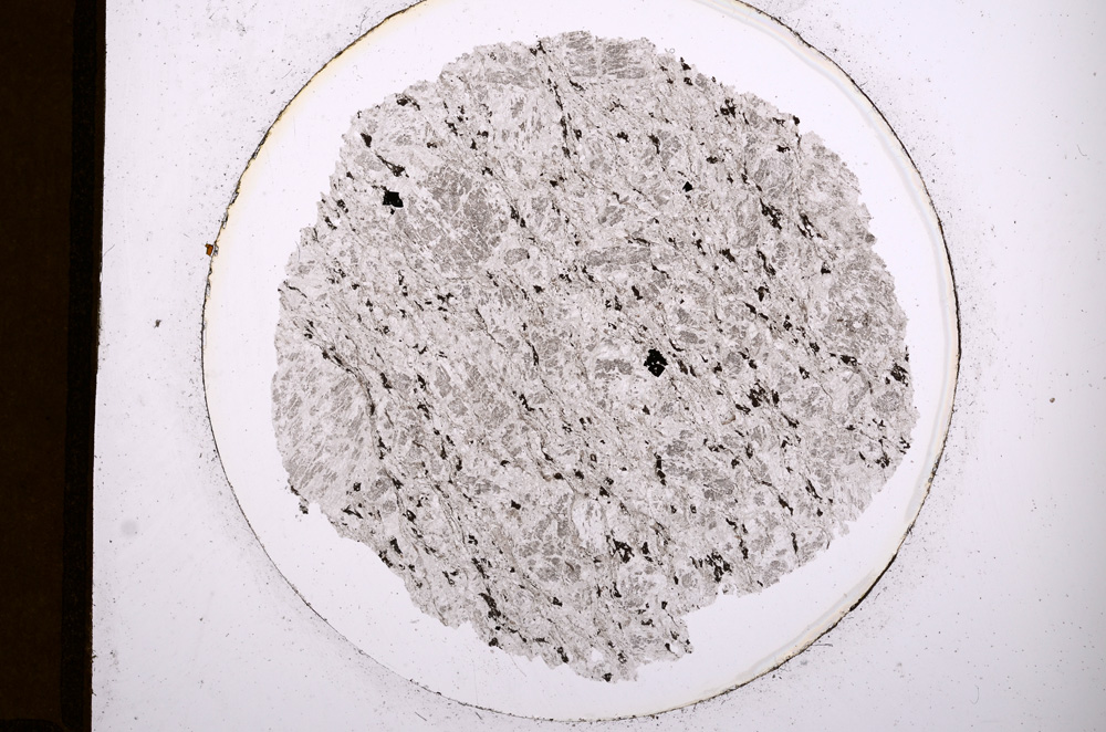 Plane Polarized, E918