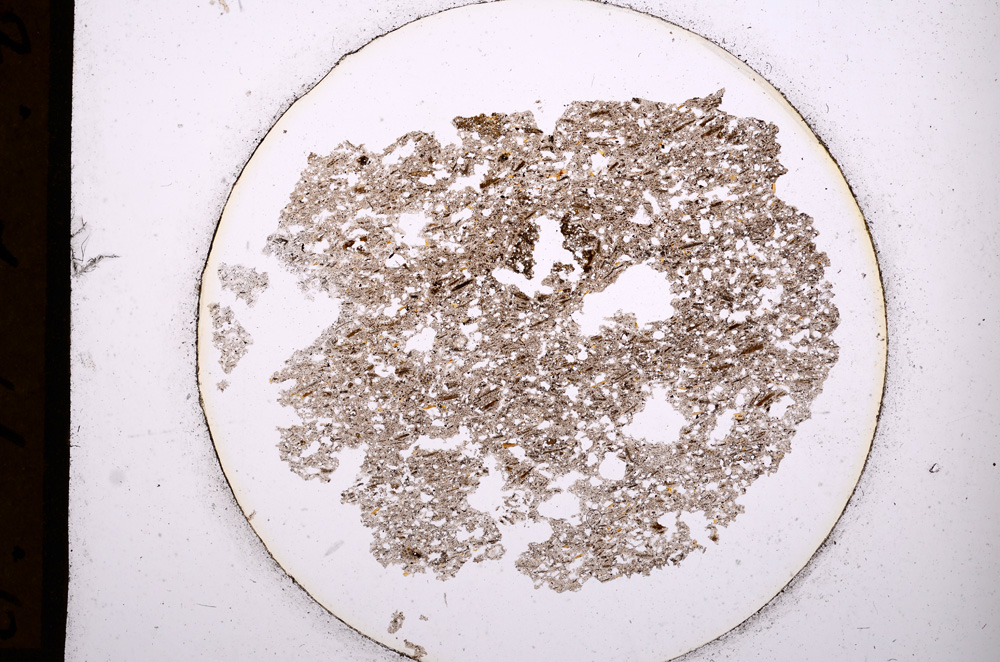 Plane Polarized, E944