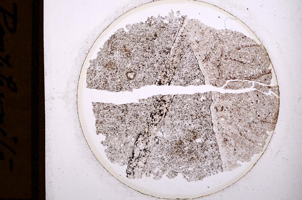 Plane Polarized, E954